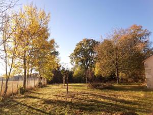 B&B / Chambres d'hotes Maison Chemin, chambres d'hotes a Amboise : photos des chambres