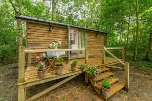 Woodland Retreat Shepherds Hut - Wilby