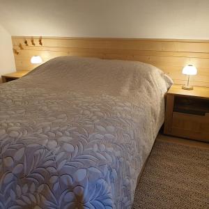 Apartmaji Pri Medvedu