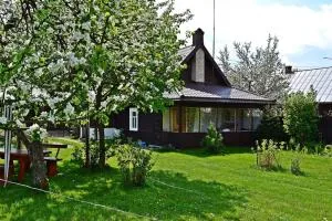 Białowieża 131 - Mateyevichi