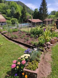 Maisons de vacances Gite Hecker : photos des chambres