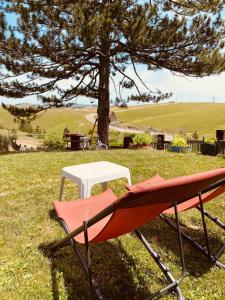 Brvnara ispod Čigote