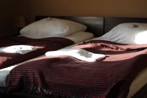 Double or Twin Room room in Dobry Czas