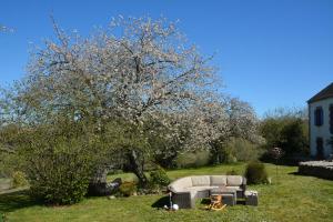 Maisons de vacances Les Marronniers Gites : photos des chambres