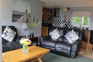 Cornish Riviera - Mount Brioni
