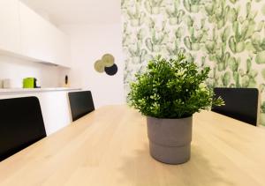 Moderno apartamento urbano en barrio histórico 1ºI