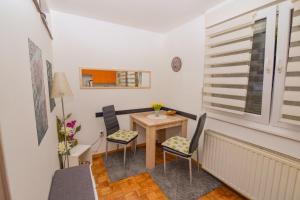 Studio Apartment Maestral