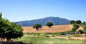 Agriturismo Poggio Degli Ulivi