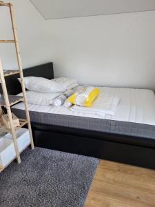 Appartements Lumineux 70 m a deux pas du parc de l'hippodrome : photos des chambres