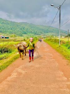 Mường sang Retreat Mộc Châu