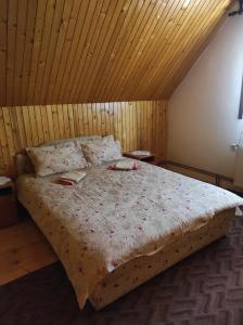 Apartmani Ćetković