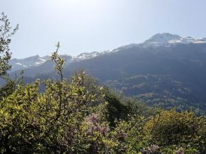 Chalets Chalet de 3 chambres avec jardin amenage et wifi a Cevins : photos des chambres