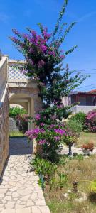 Villa Kadinela, 200m from Kamenjak, huge quiet garden with barbecue, WiFi100Mbps 