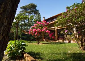 Appart'hotels Residence Hoteliere les Acanthes : photos des chambres
