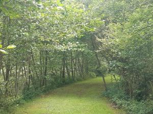 Maisons de vacances A Private Lakeside Retreat-Do You Love Nature : photos des chambres