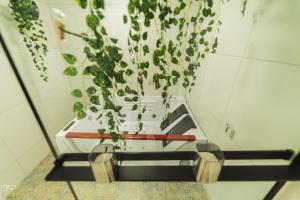 Apartament Sienkiewicza