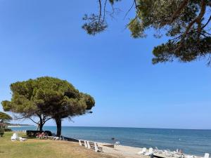 Villages vacances Le Village des Isles : photos des chambres