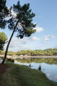 Appart'hotels Residence Hoteliere les Acanthes : photos des chambres
