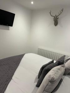 Terfyn Hall holiday Apartment 2
