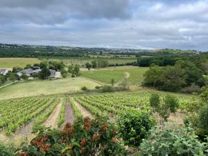 Villas Maison des Coteaux blancs : photos des chambres