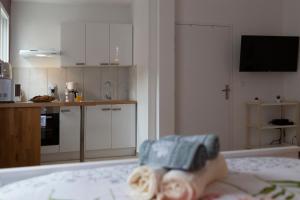 Appartements LOC TROTTEUR LE PIVOINE Studio Grand confort, Gare SNCF de Lourdes : photos des chambres