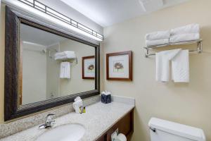 King Room - Pet Friendly room in Best Western Plus Loveland Inn