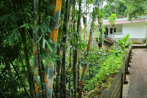 Spring and Valley View