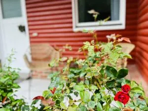 Dat Blockhus am Diek - Cappel