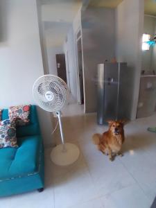 Apartamento Ricaurte - KASSANJA
