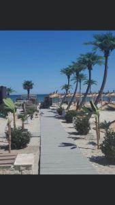 Nicolle Beach Mamaia