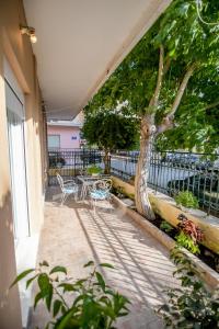 Anna Apartment