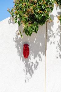 Hotels HoTEL LES VOLETS ROUGES - CASSIS : photos des chambres