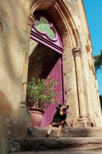 B&B / Chambres d'hotes Chateau du Vallier superbe suite vignobles BORDEAUX : photos des chambres