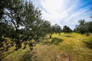 Country house Oasis with private tennis court