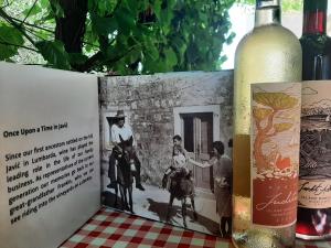 My Mediterranean Villa with Huge Garden and own Parking