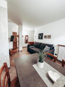 Bait dArmin - Sport Azzurro