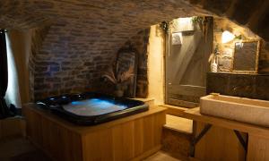 Appartements Hebergement insolite avec jacuzzi privatif Millau : photos des chambres