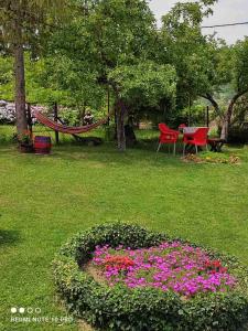 Apartman Jovanovic-Rudnik