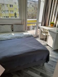 Blue River - Niedzwiedzia