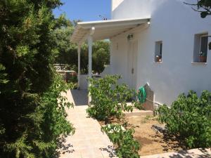 Peaceful House