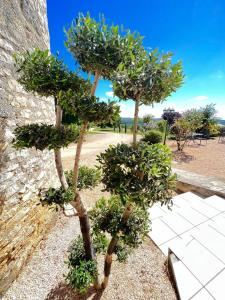 Hotels Hotel Les Vieilles Tours Rocamadour : photos des chambres