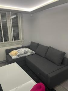 APARTAMENT Poniatowa