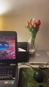 1 STEP ON THE LAKE - 科尔特弗兰卡