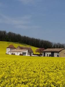 Maisons de vacances Les Cypres de Crose I : photos des chambres