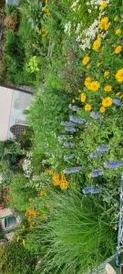 Apartments in der Nähe von Red Bull Ring - نيكالسدورف