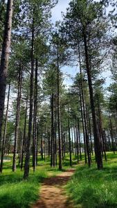 Mundus Apartman Zlatibor