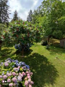 Apartman Jovanovic-Rudnik