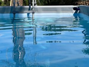 THE DORMOUSE - Il Ghiro