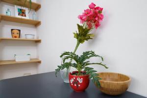 50 meters to the metro