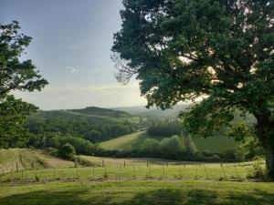 Campings ferme de castel pouzouilh : Mobile Home